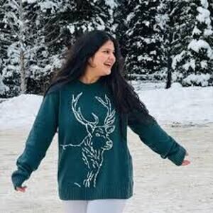 Old Navy SoSoft Deer Graphic Sweater Green XXL Tall NWT Crewneck